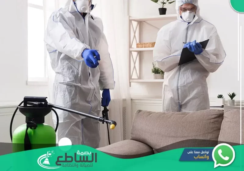 شركة مكافحة النمل الأبيض بخميس مشيط | 0557997714 | إبادة نهائية بالضمان