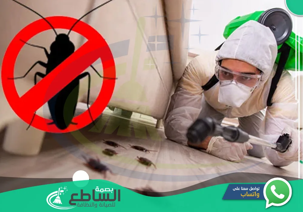 شركة مكافحة صراصير بخميس مشيط 🪳 💯 | 0557997714 | رش مبيدات