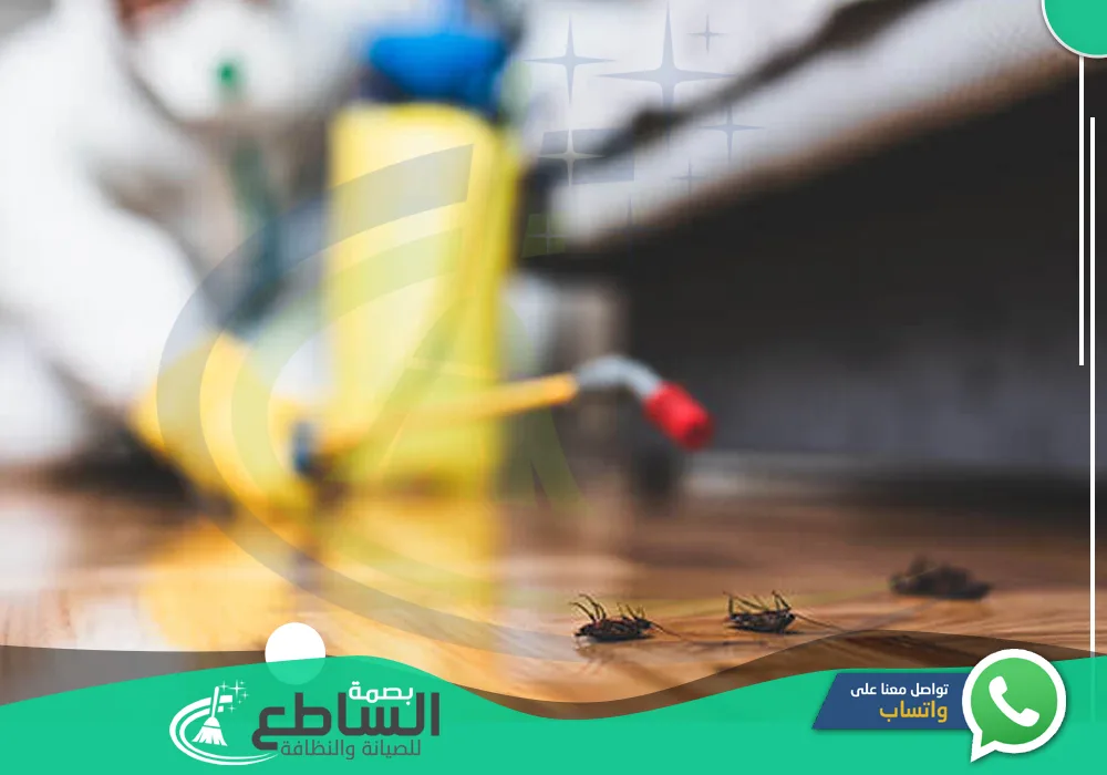 أرخص شركة مكافحة صراصير بخميس مشيط