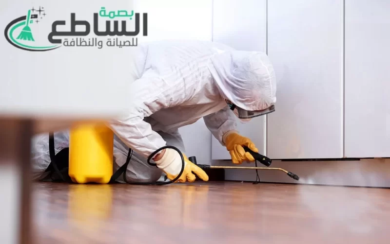 Insect control company in Mahayil Asir1 e1676898398430