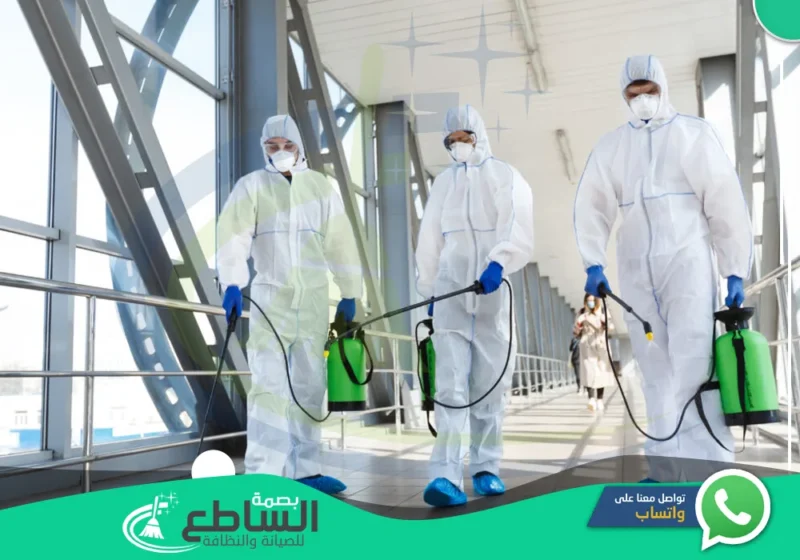 شركة مكافحة حشرات باحد رفيدة | 0557997714 | أقوي مبيد ابادة وتعقيم