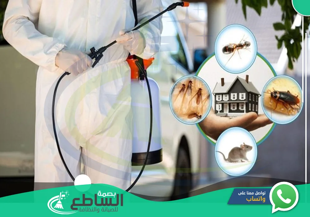 شركة رش مبيدات بخميس مشيط 🦗 | 0557997714 | إبادة تامة بالضمان
