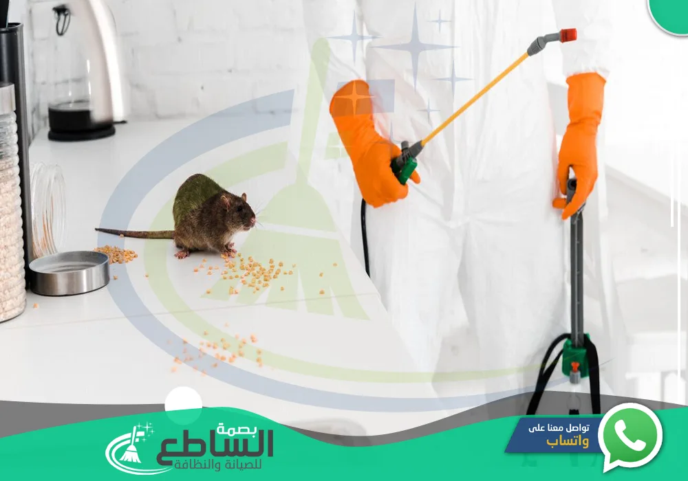 ارقام شركات مكافحة الفئران بخميس مشيط