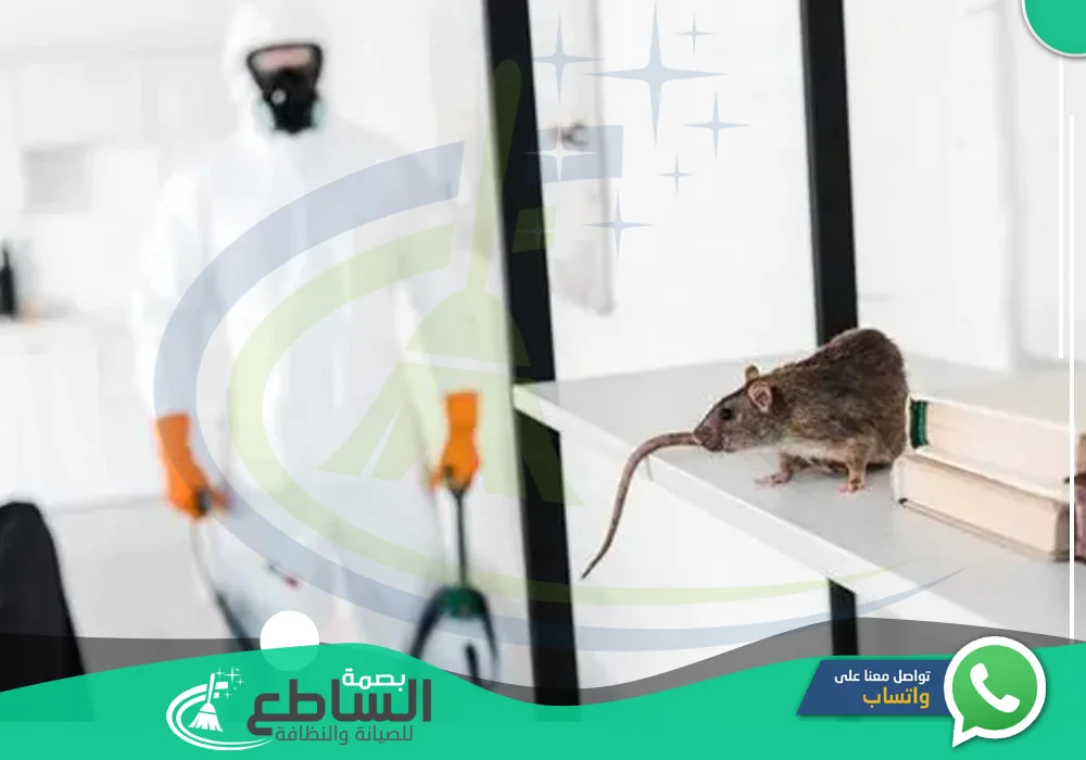 أفضل شركة مكافحة فئران بخميس مشيط
