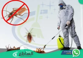 شركة مكافحة صراصير بابها | 0557997714 | مبيدات حشرية