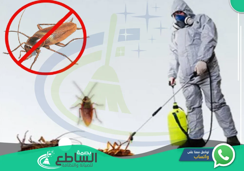 شركة مكافحة صراصير بابها 🪳 💯 | 0557997714 | مبيدات حشرية