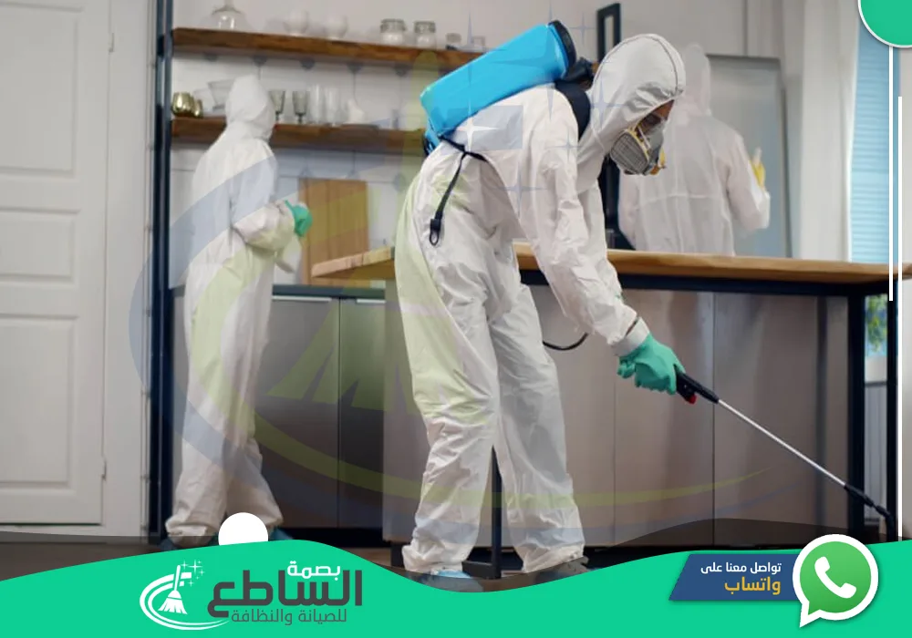 أرخص شركات مكافحة الحشرات بالواديين