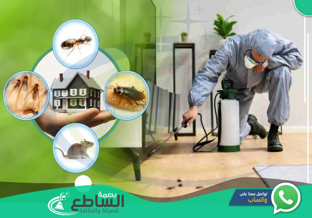 أرخص شركة مكافحة حشرات بالواديين