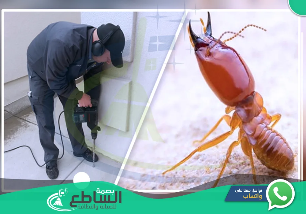 أرقام شركات مكافحة حشرات بالواديين