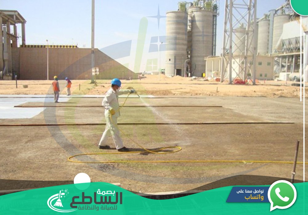 أفضل شركة رش دفان الميدة بابها لمكافحة النمل الابيض قبل البناء