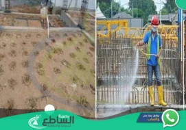 شركة رش دفان بابها | 0557997714 | مكافحة النمل الابيض قبل البناء